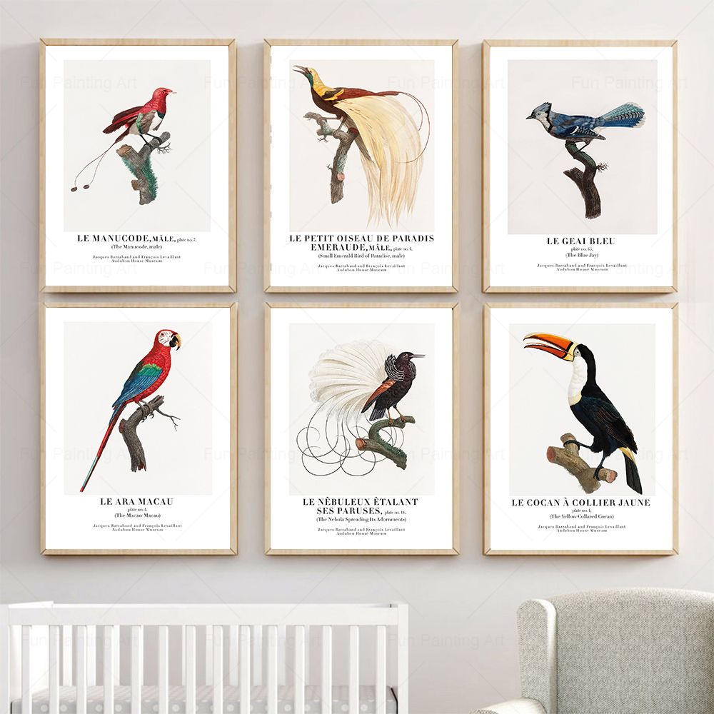 Vintage Paradise Bird Wall Art - Furniture Paradise & Hardware Ghaziabad Reviews review and price