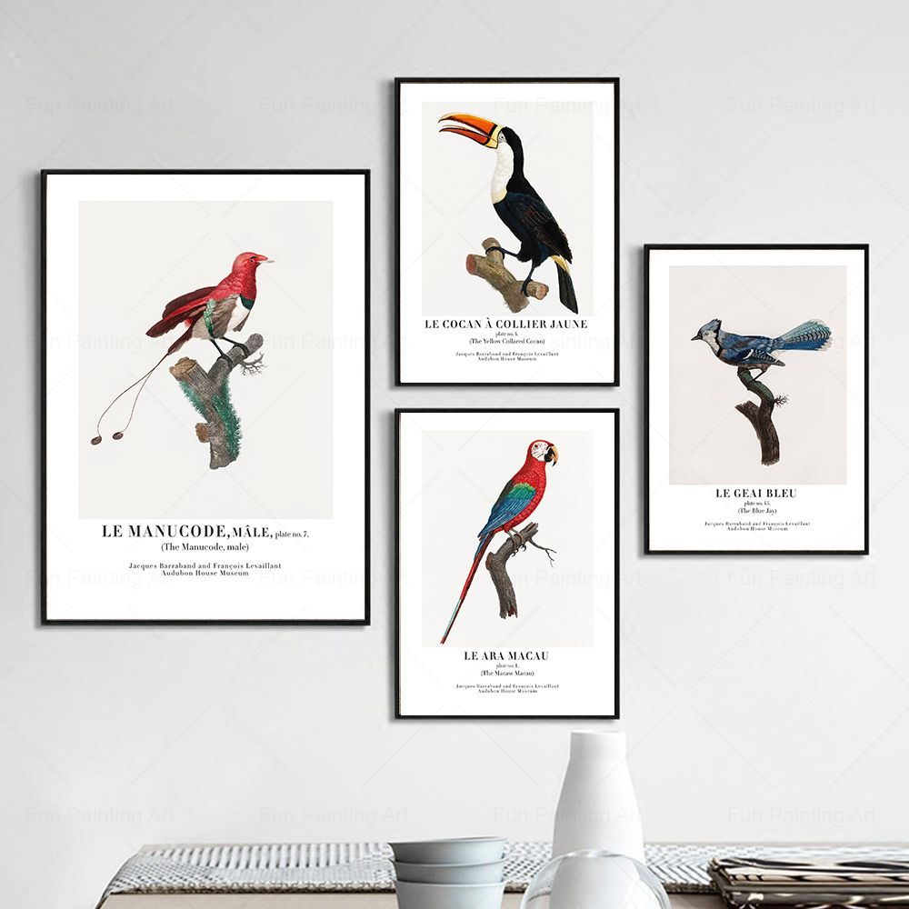Vintage Paradise Bird Wall Art - Furniture Paradise & Hardware Ghaziabad Reviews review and price