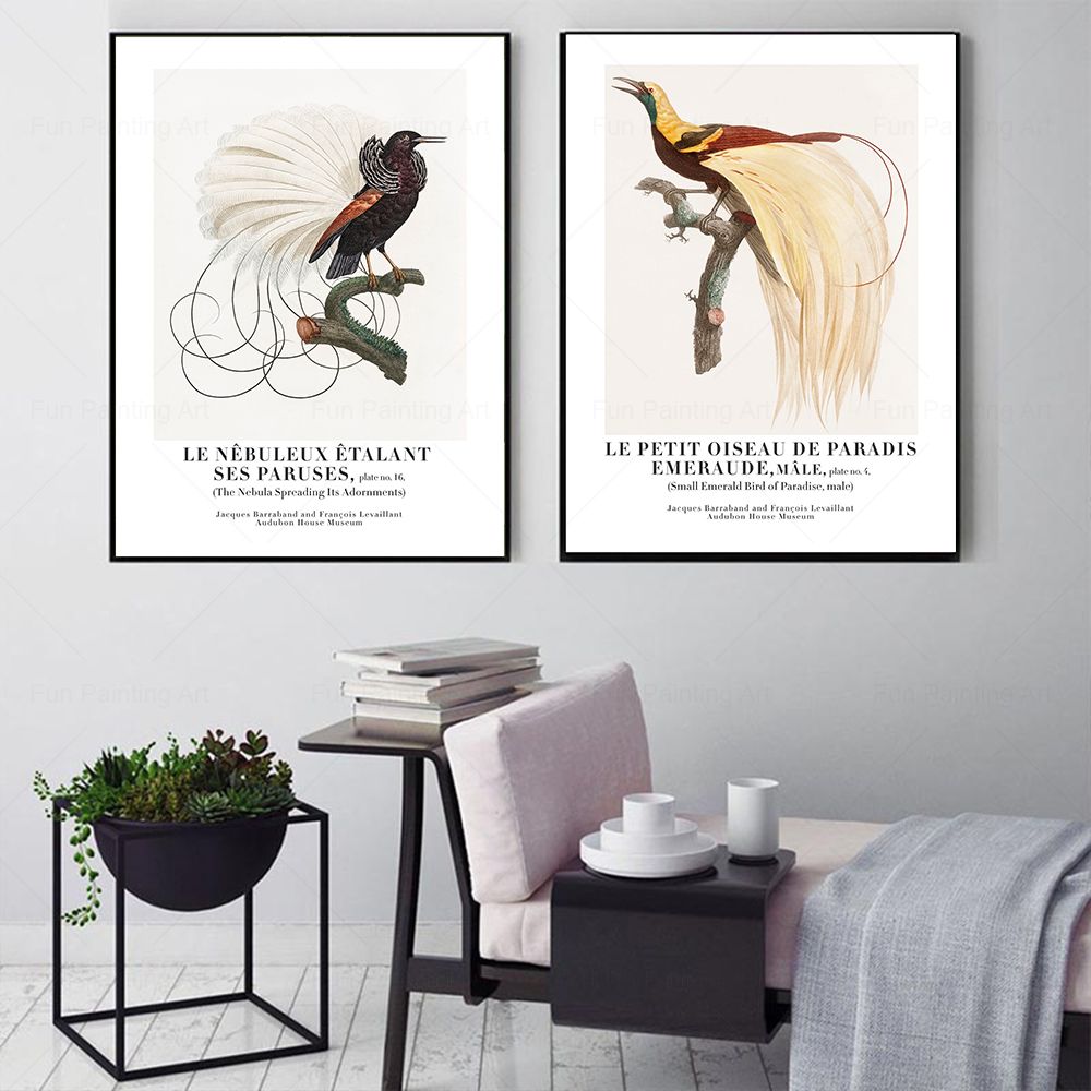 Vintage Paradise Bird Wall Art - Furniture Paradise & Hardware Ghaziabad Reviews review and price